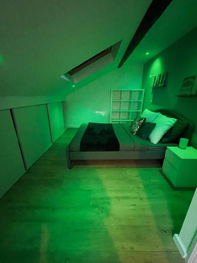 Grace Cosy Apartment Villers-les-Nancy Ngoại thất bức ảnh
